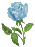 modrá růže